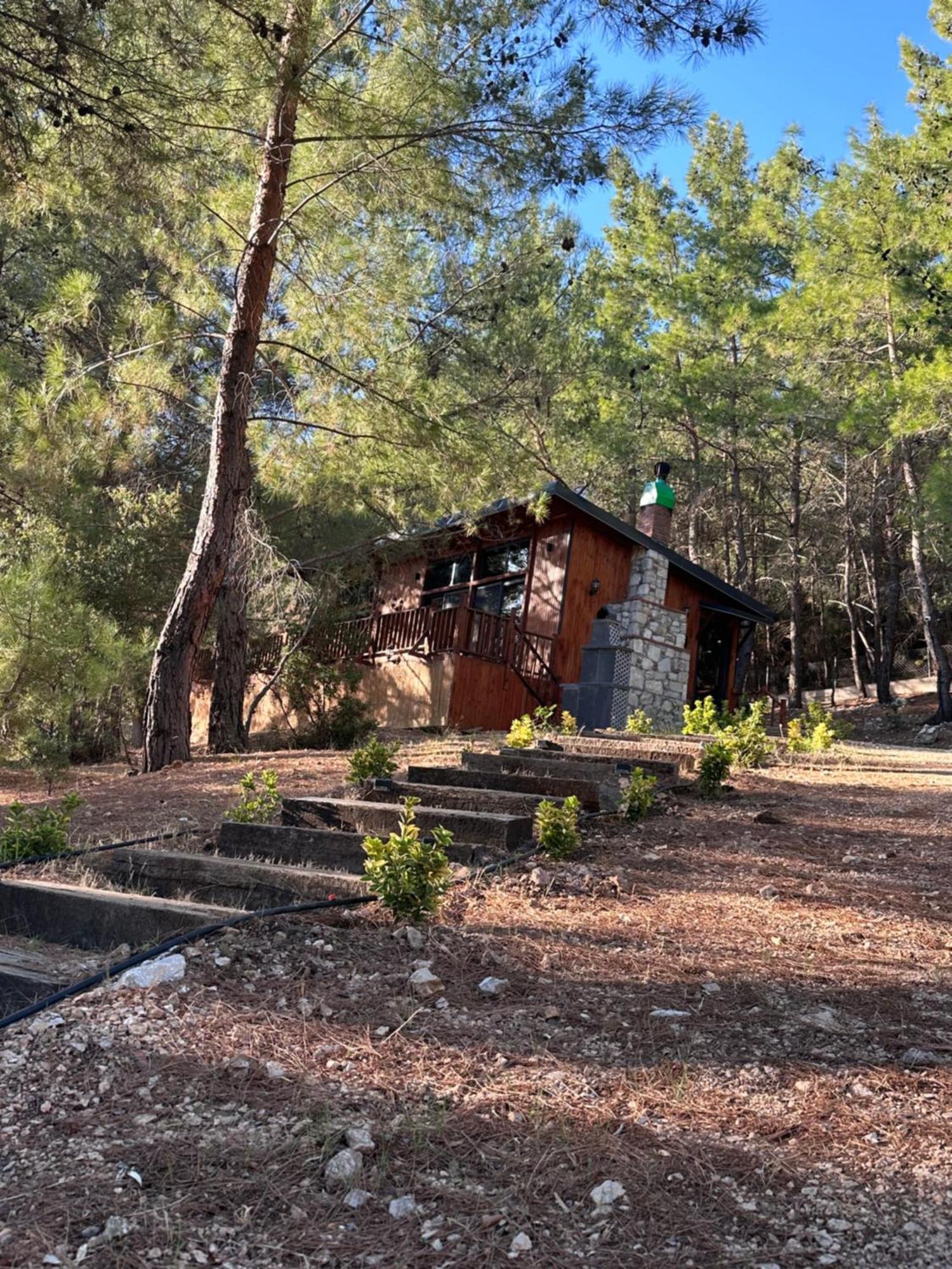 Panurlawoodenhouse Oezel Havuz& Sauna Mavi Ngoại thất bức ảnh